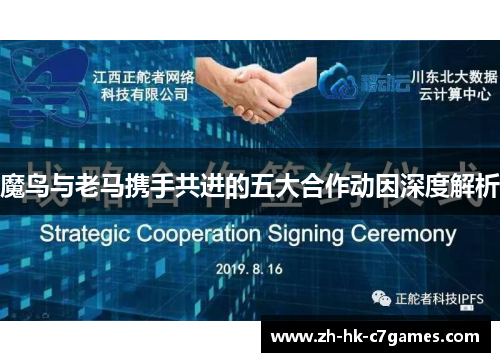 魔鸟与老马携手共进的五大合作动因深度解析