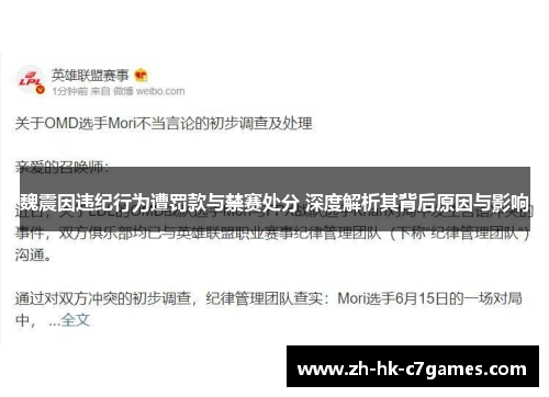 魏震因违纪行为遭罚款与禁赛处分 深度解析其背后原因与影响