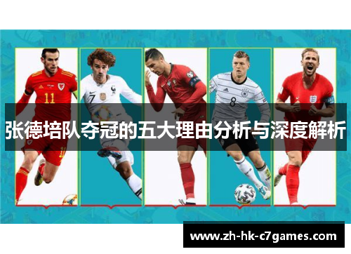 张德培队夺冠的五大理由分析与深度解析